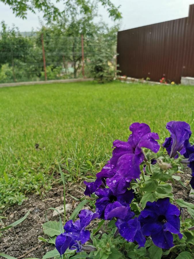 Bbs Residence Cluj-Napoca Ngoại thất bức ảnh